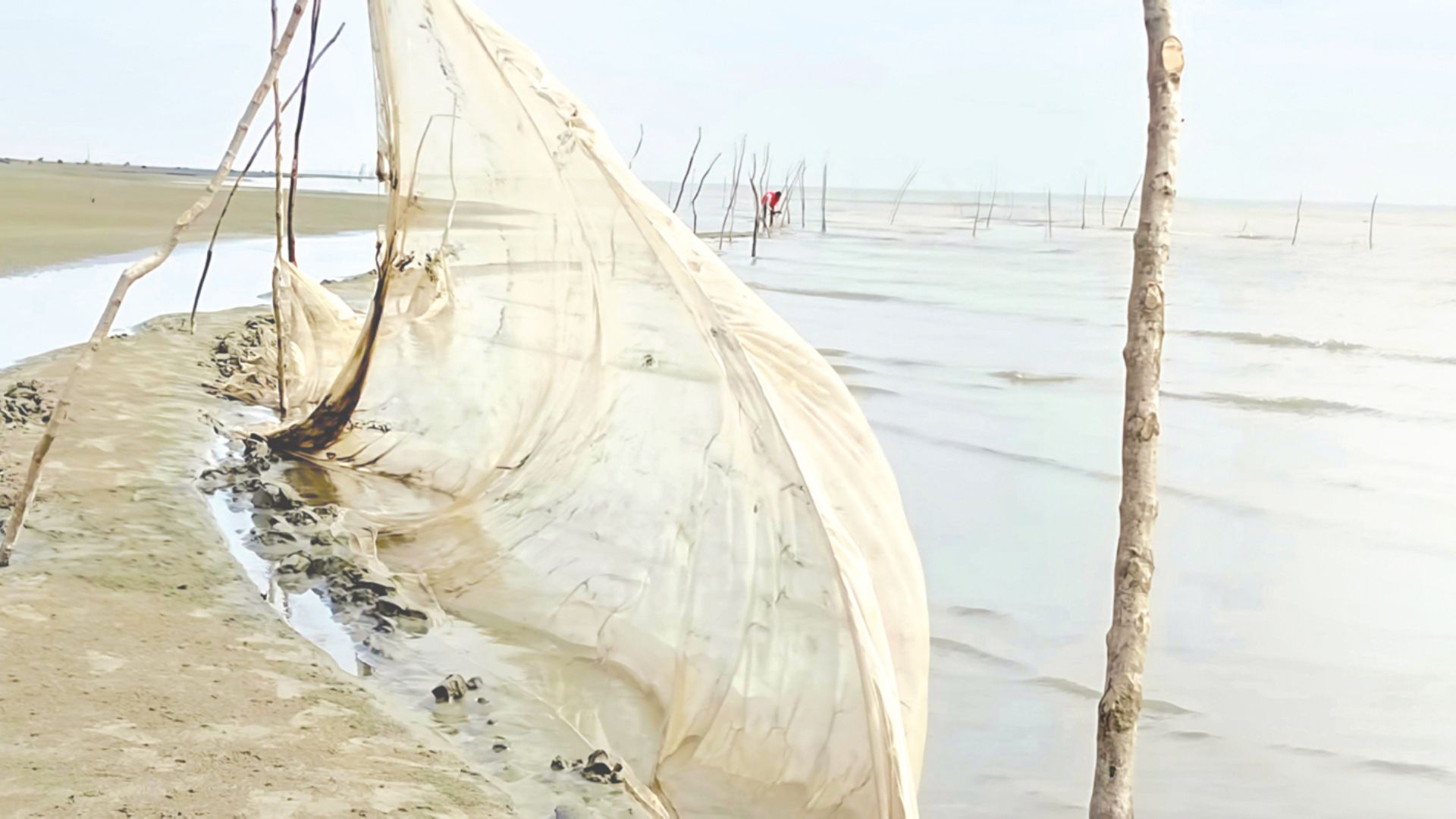 জীববৈচিত্র্য