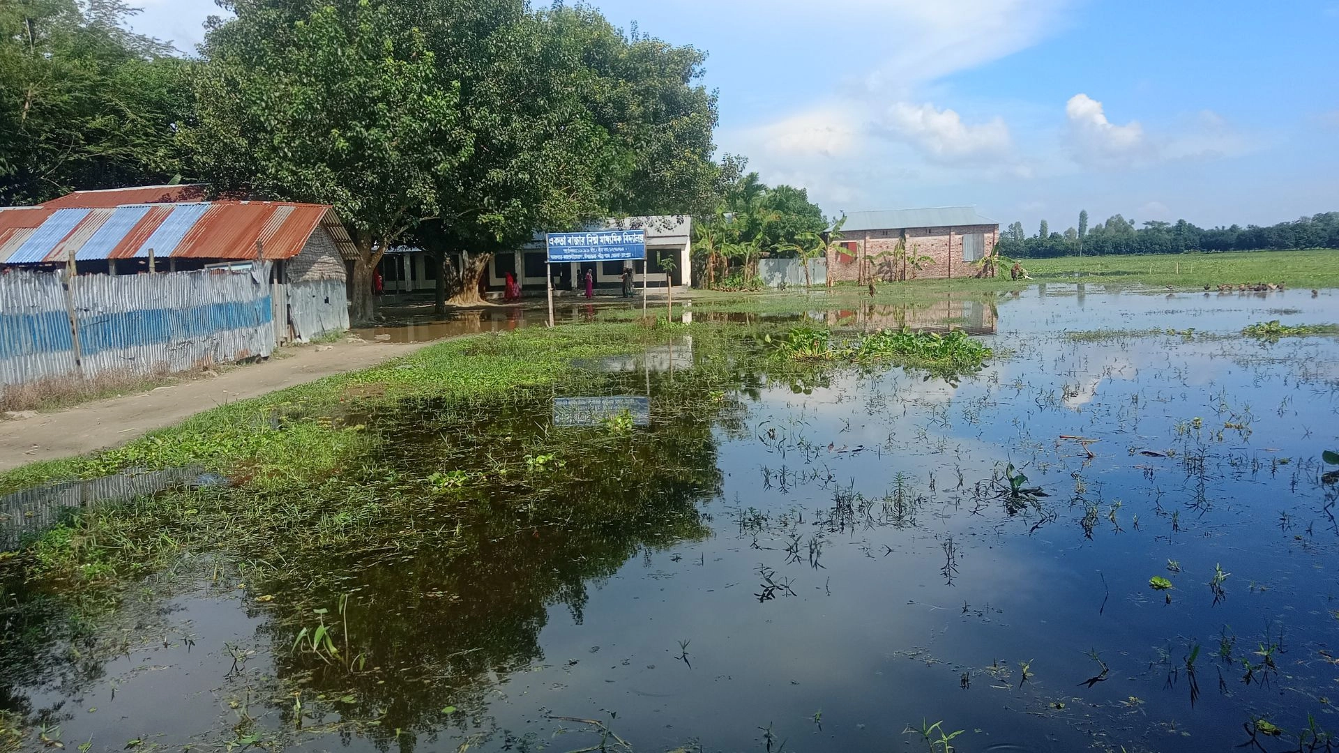 পীরগঞ্জ