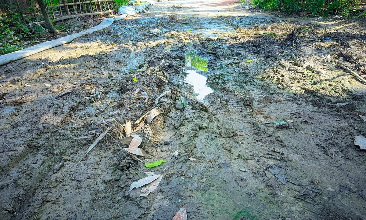 কাঁচা রাস্তাটির দুরবস্থার কারণে এলাকাবাসী চরম ভোগান্তির শিকার হচ্ছেন। ছবি : রূপালী বাংলাদেশ