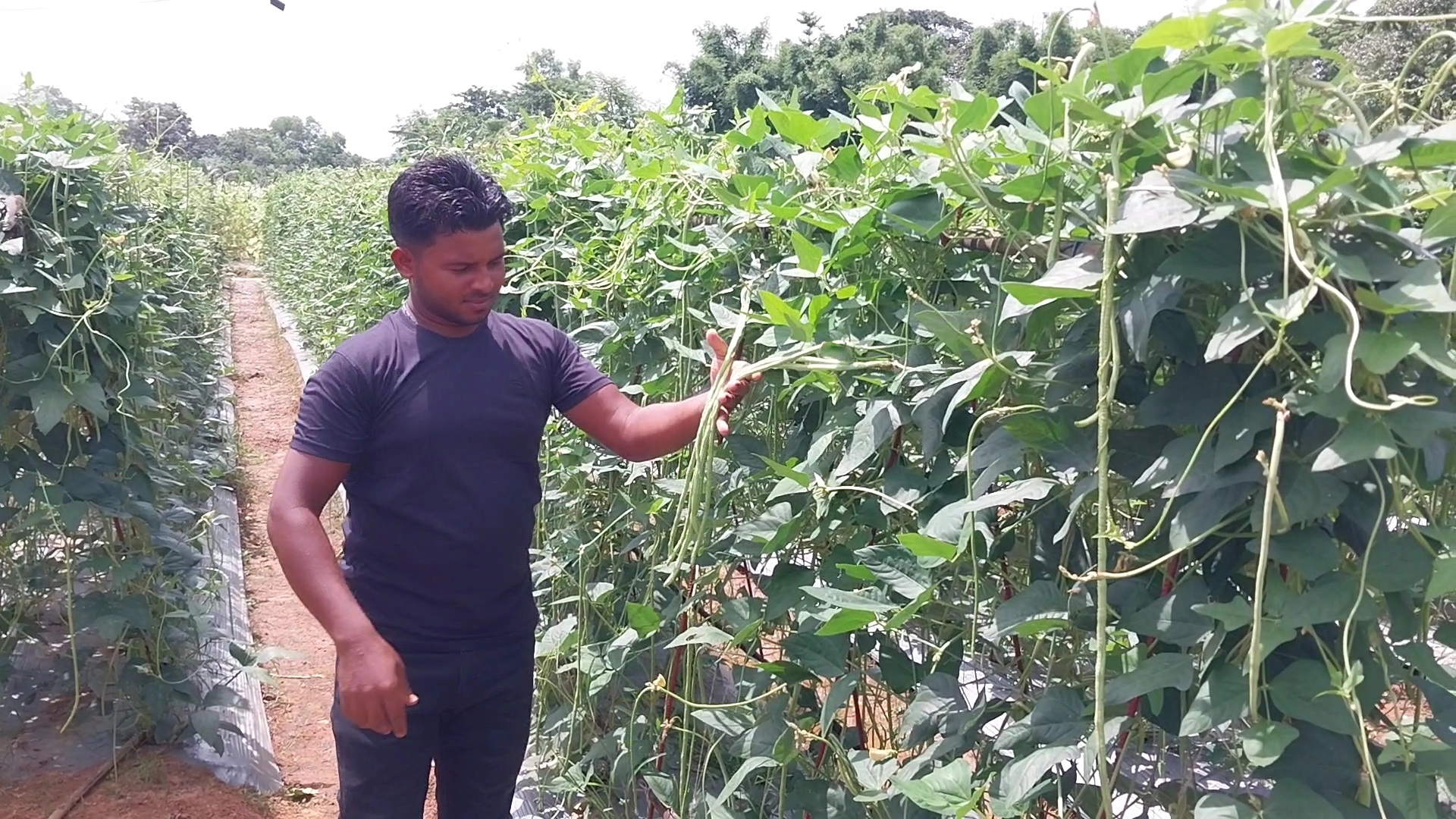 প্রবাসীর সাফল্য