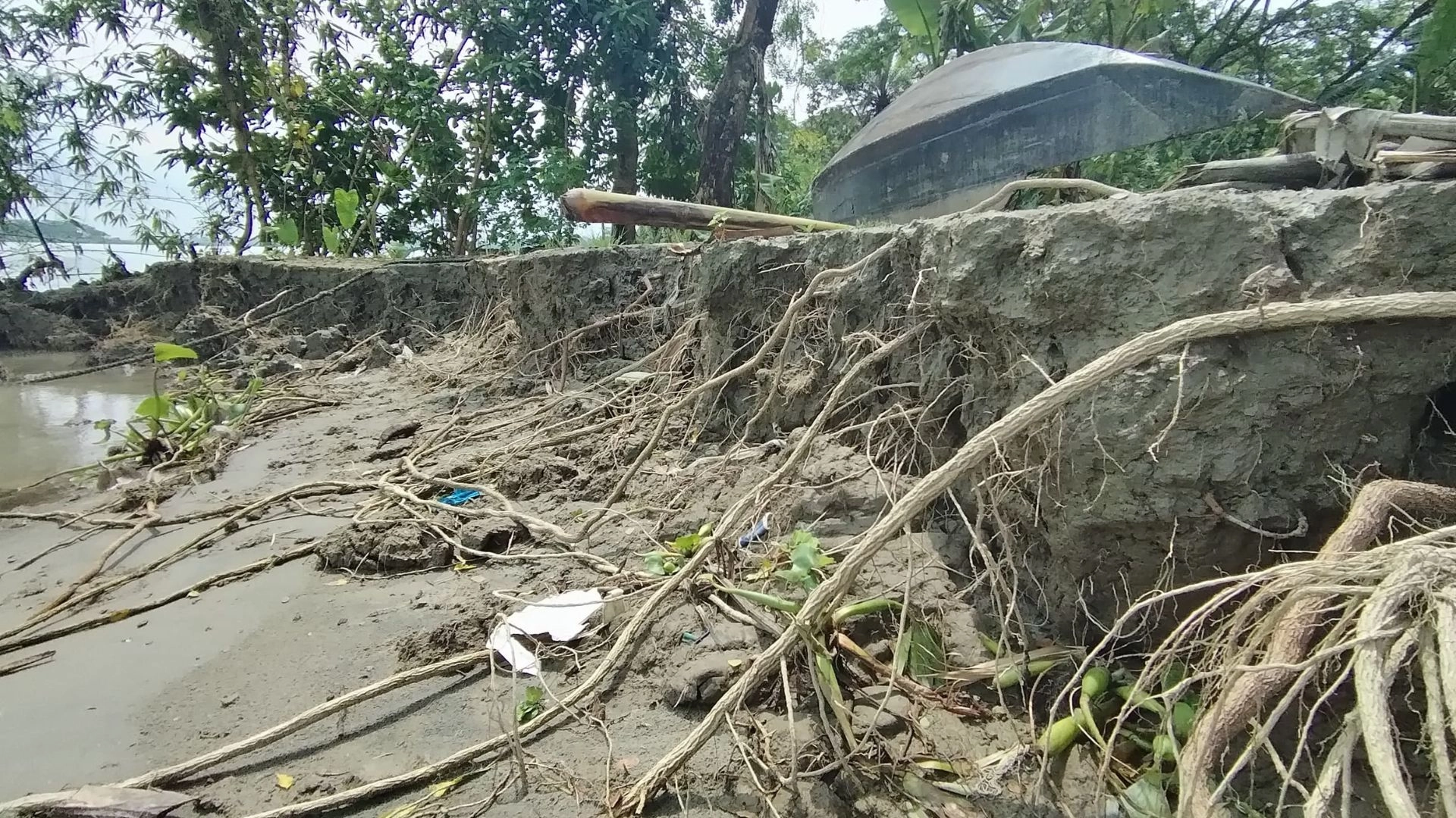 সুগন্ধার পেটে বাপ-দাদার ভিটা