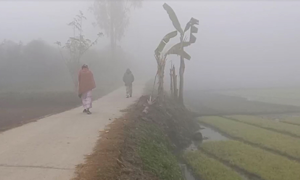 কুয়াশায় ঢাকা পঞ্চগড়ের সকাল। ছবি- সংগৃহীত