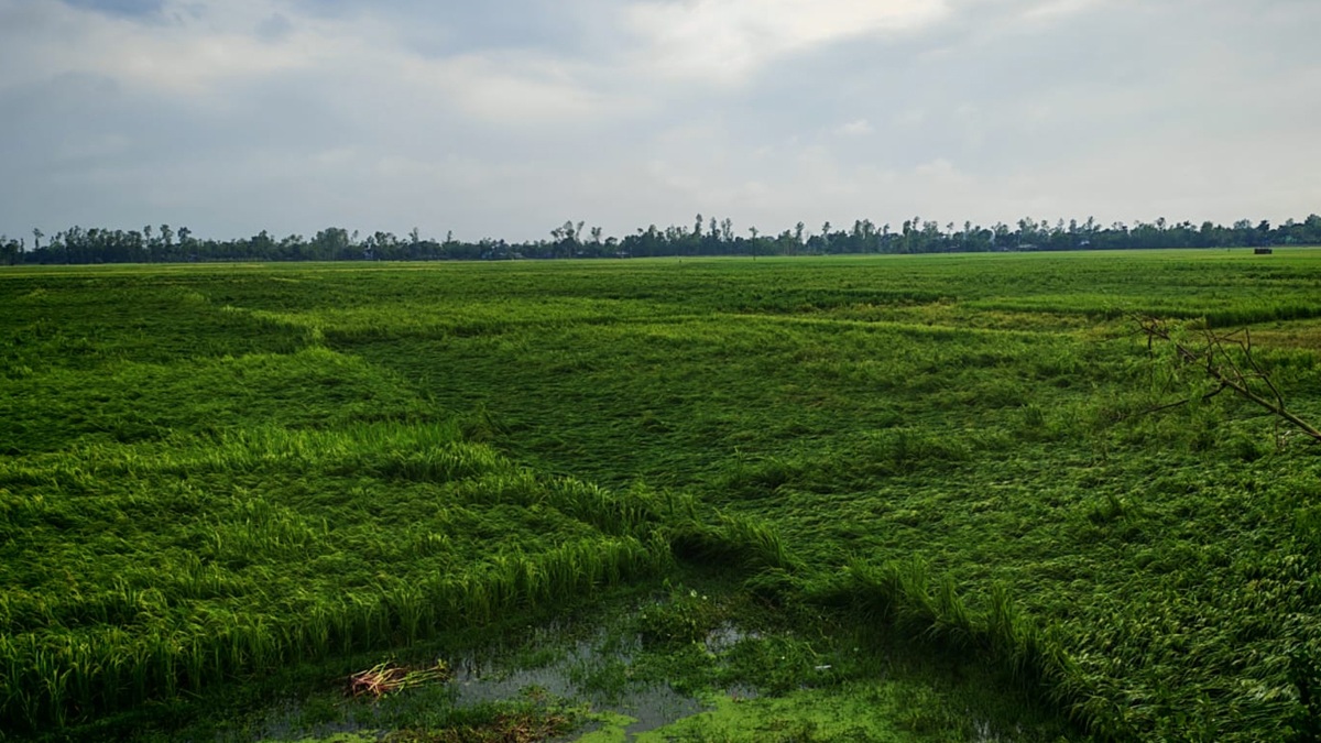 ছবি : রূপালী বাংলাদেশ