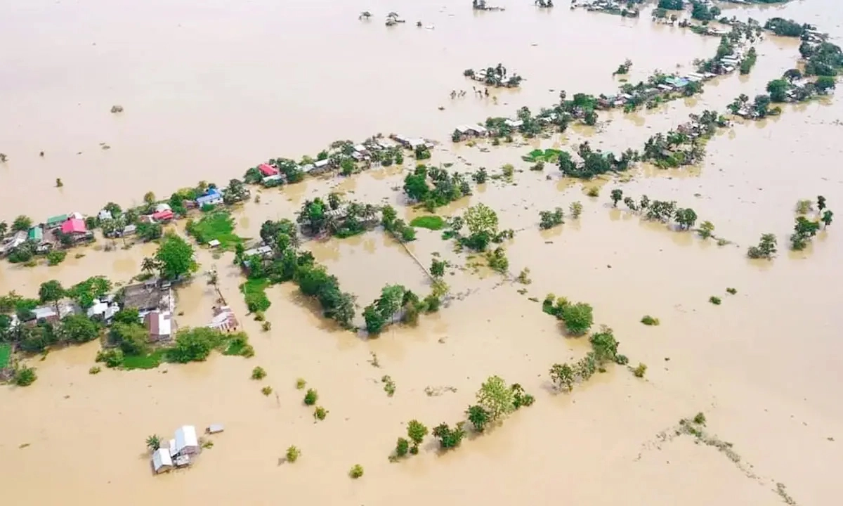 ছবি : সংগৃহীত