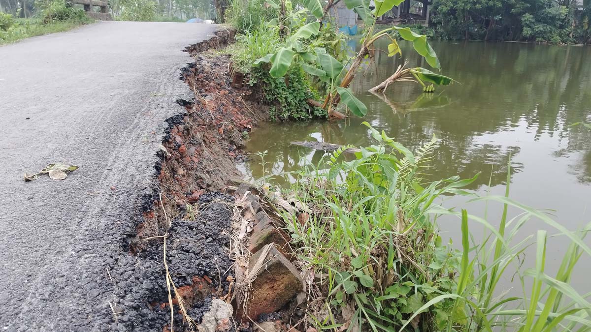 সড়কের দু’পাশে পুকুর থাকায় অতিবৃষ্টিতে ভাঙে যাচ্ছে  ছাতিয়ানী-শেরপুর একমাত্র যোগাযোগ সড়ক।   ছবি- রূপালী বাংলাদেশ