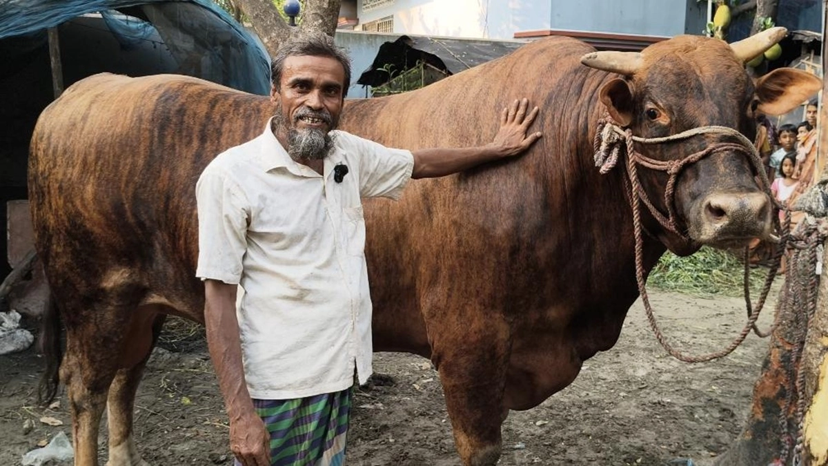 ছবি : রূপালী বাংলাদেশ