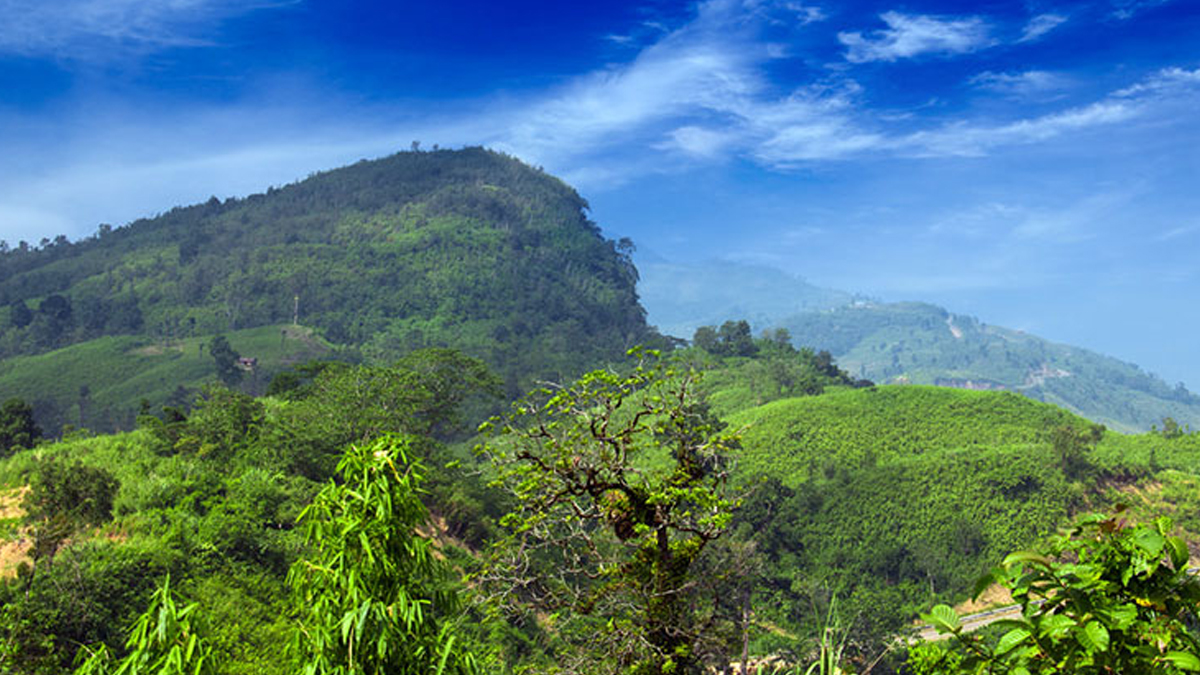 ছবি- রূপালী বাংলাদেশ