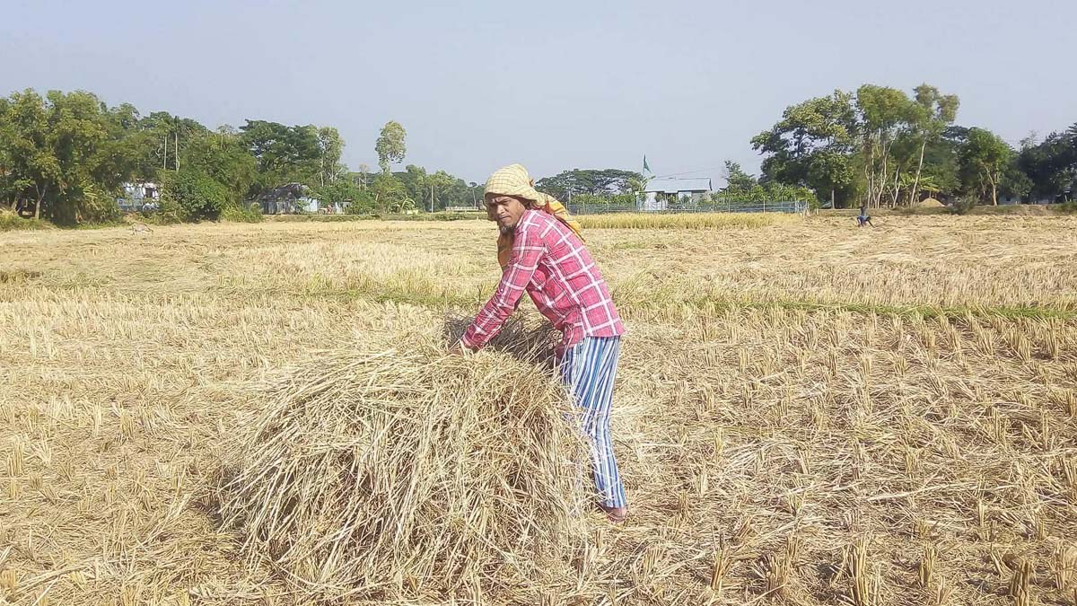 ছবি- রূপালী বাংলাদেশ
