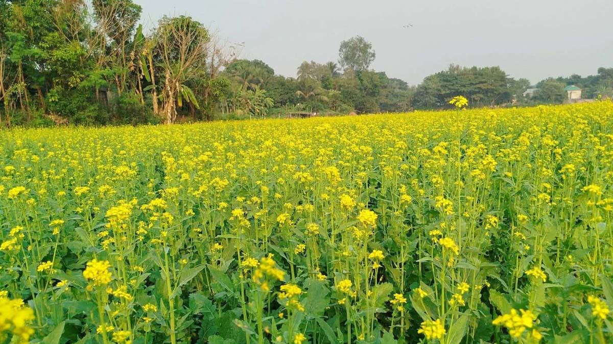 ছবি- রূপালী বাংলাদেশ