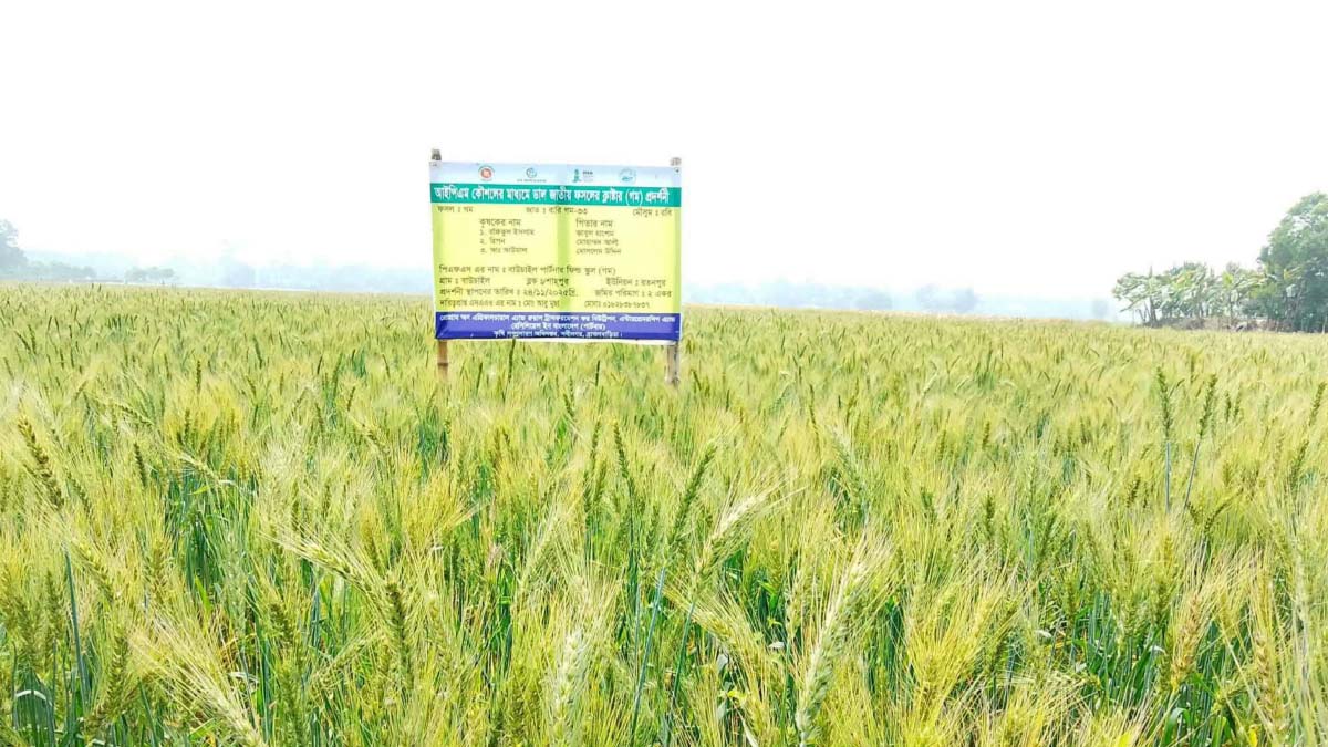 ছবি- রূপালী বাংলাদেশ