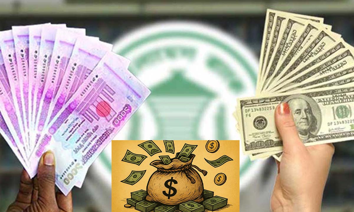 ছবি- সংগৃহীত