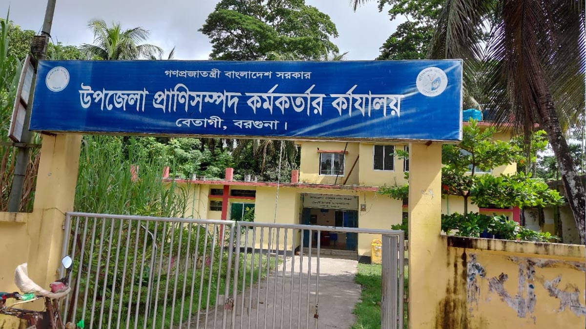 জনবল সংকটে ধুঁকছে বেতাগী উপজেলা প্রাণিসম্পদ কর্মকর্তার কার্যালয়।   ছবি- রূপালী বাংলাদেশ