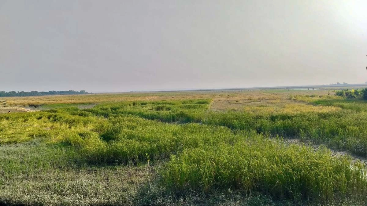 ছবি- রূপালী বাংলাদেশ