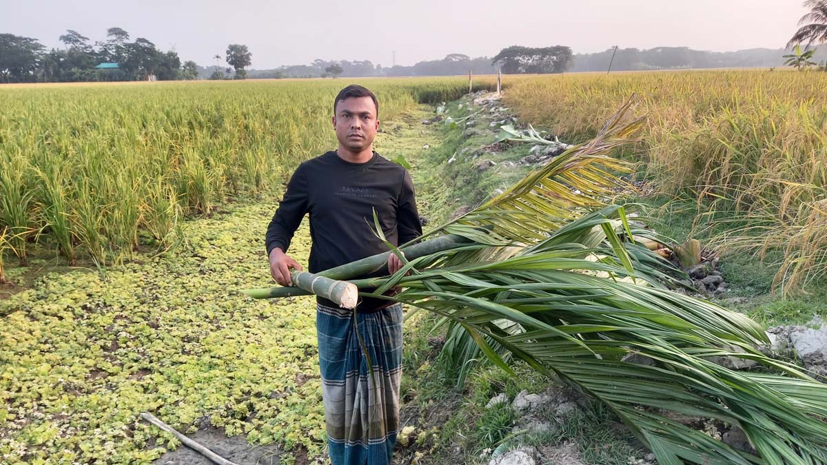 ছবি- রূপালী বাংলাদেশ