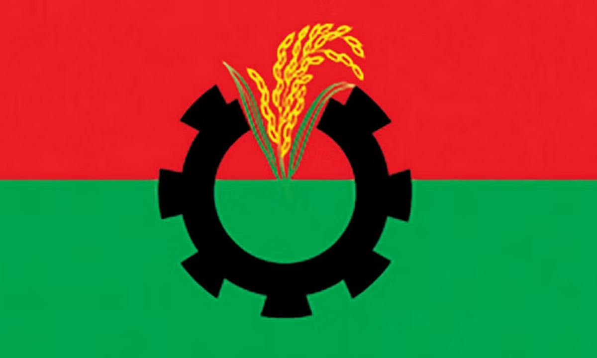 বিএনপির লোগো। সংগৃহীত