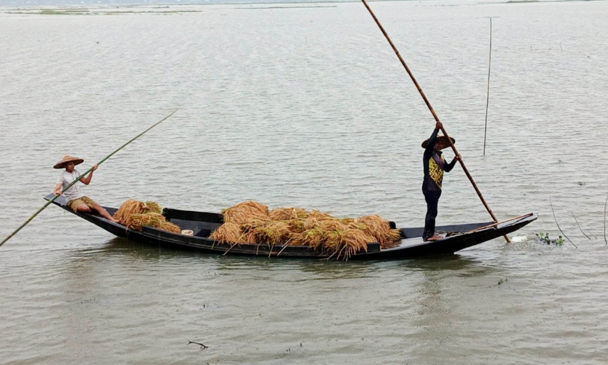ছবি : সংগৃহীত