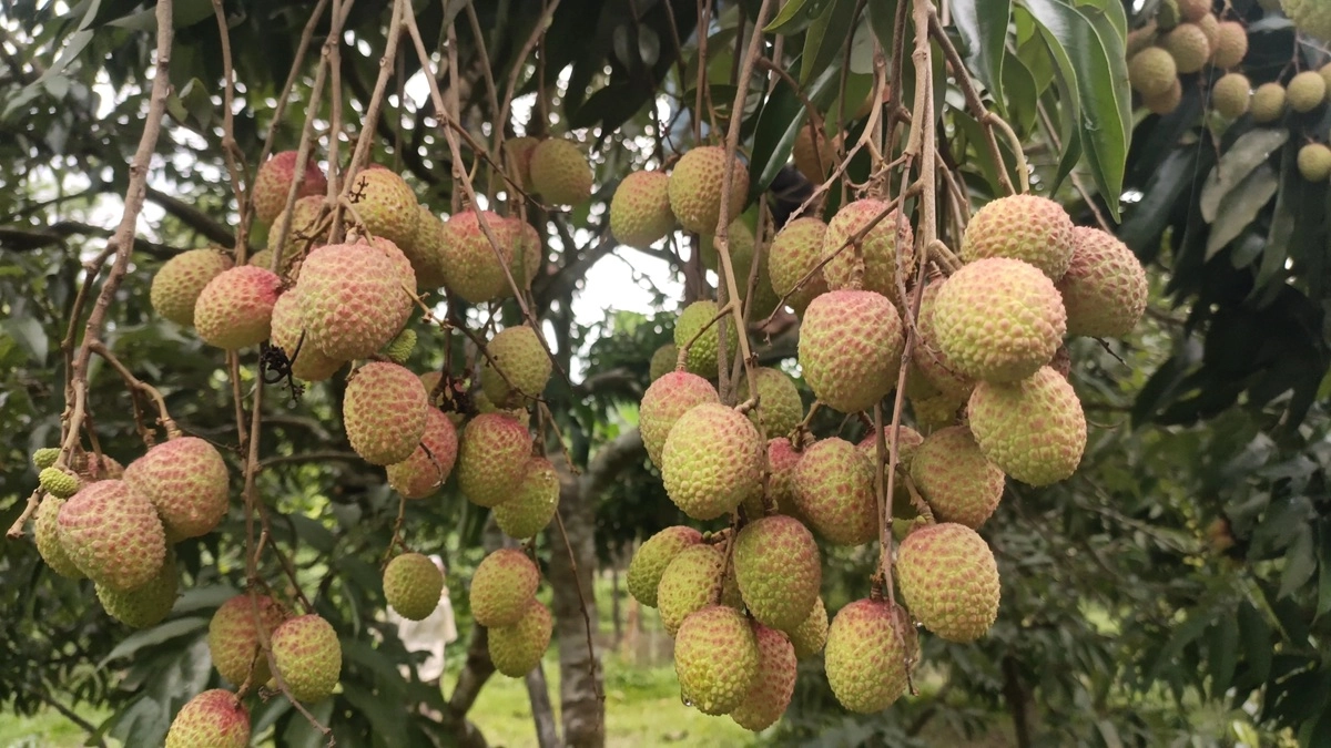 ছবি : রূপালী বাংলাদেশ