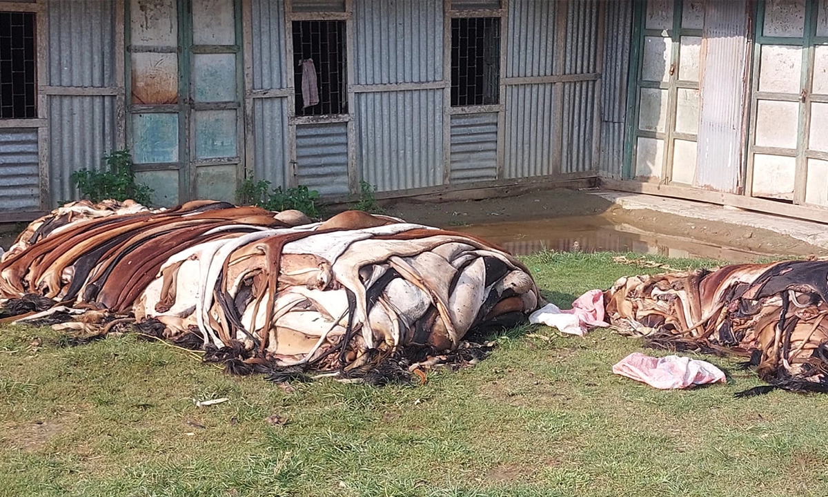 চামড়া। ছবি : রূপালী বাংলাদেশ