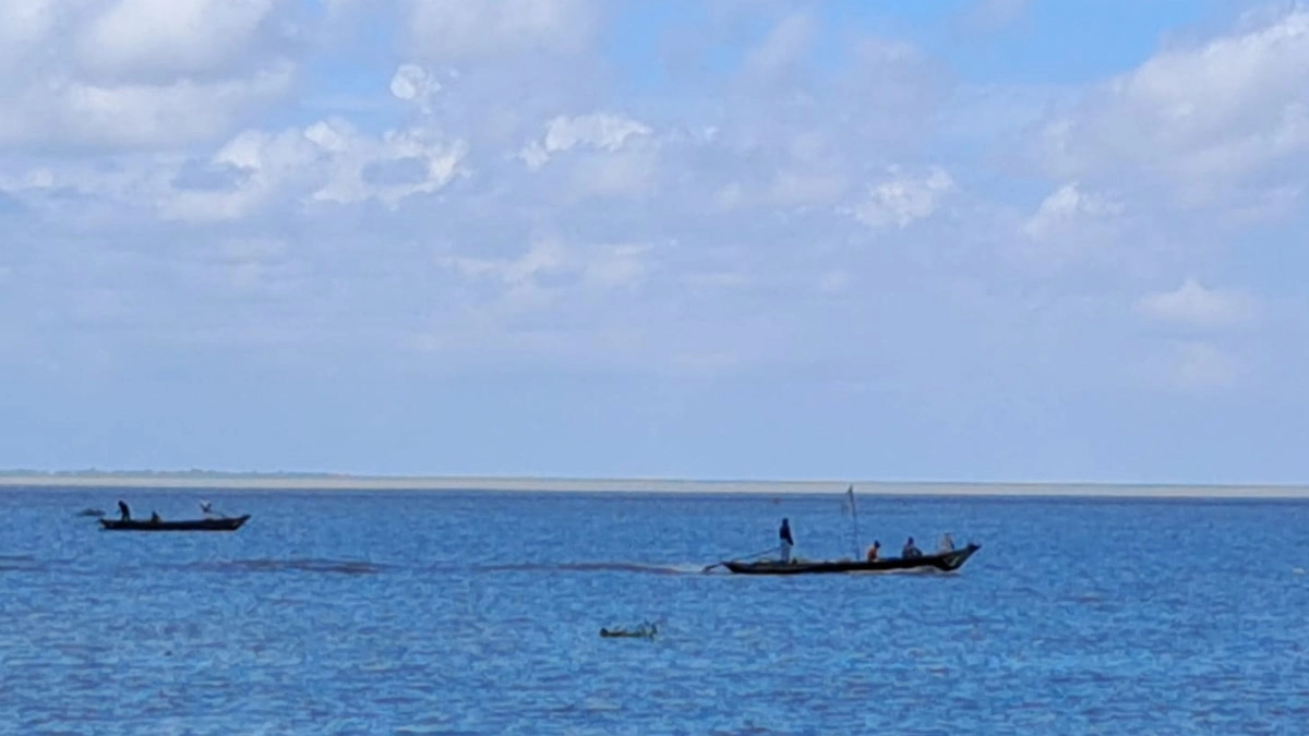 ছবি- সংগৃহীত