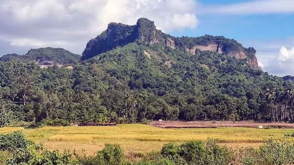 ছবি- সংগৃহীত