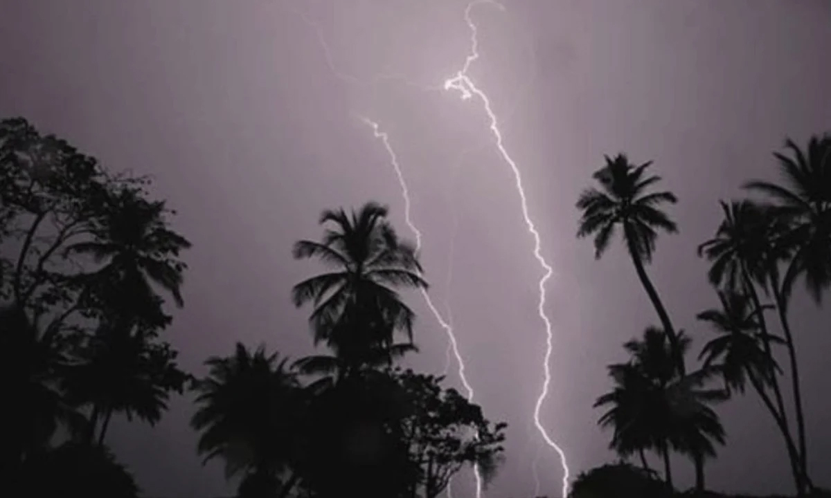 ছবি- সংগৃহীত