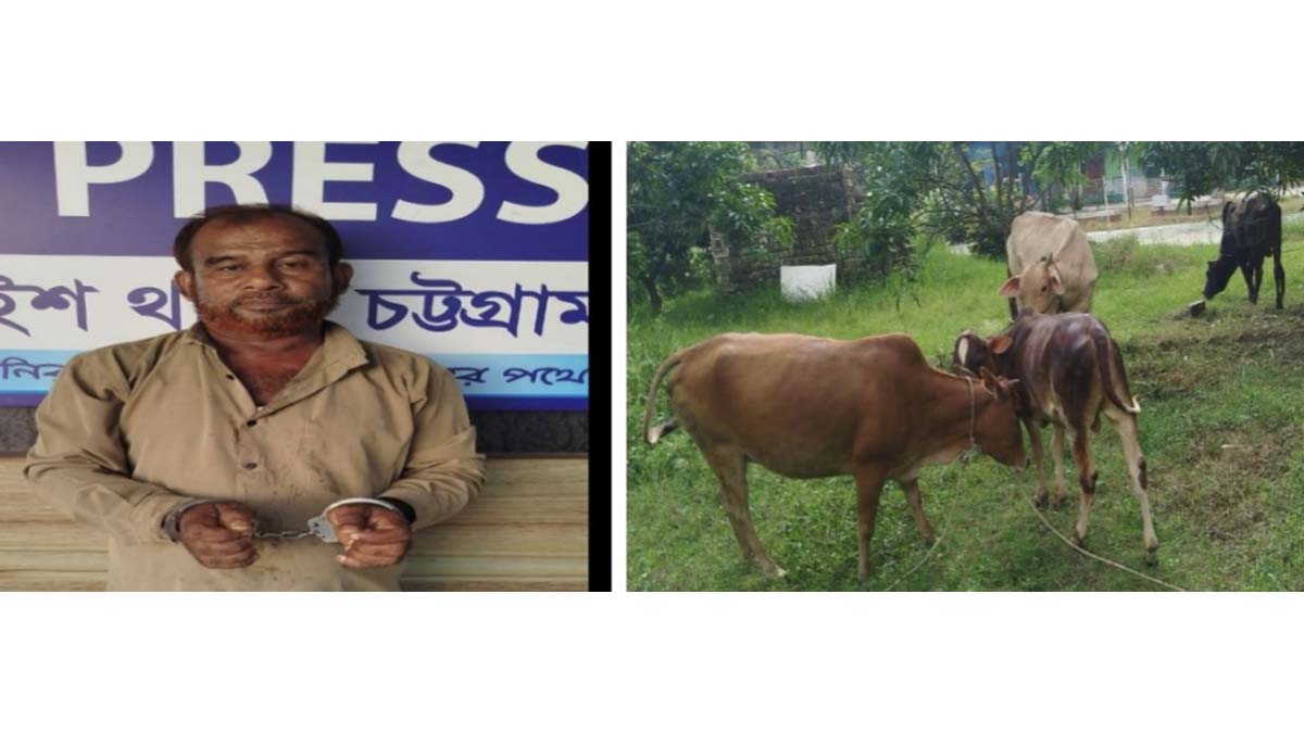 ছবি- রূপালী বাংলাদেশ