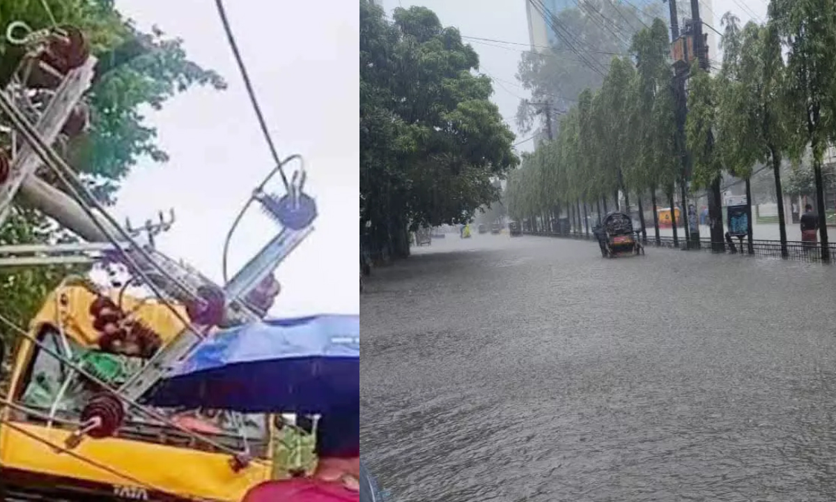ছবি : সংগৃহীত