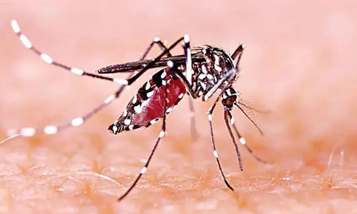 ছবি- সংগৃহীত