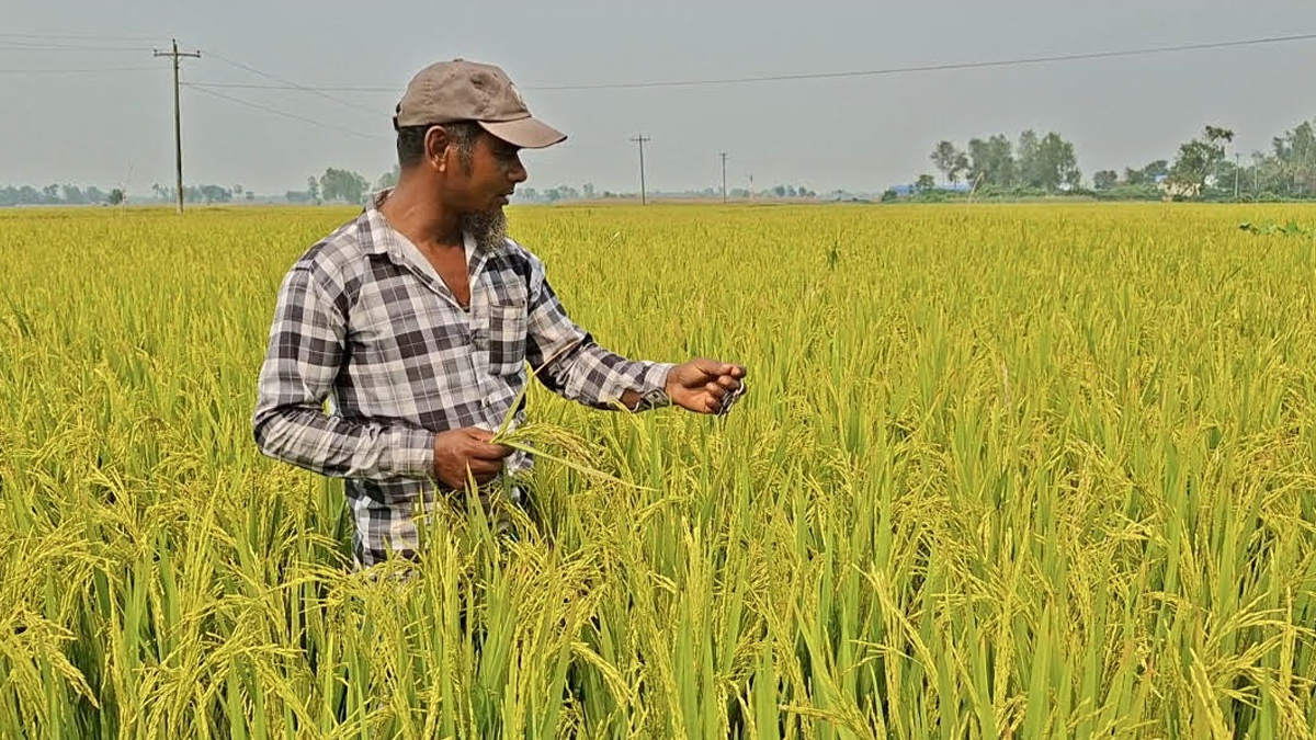 ছবি : রূপালী বাংলাদেশ