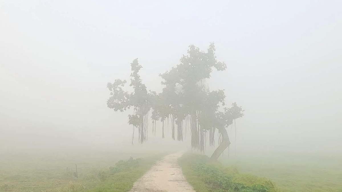 ছবি- রূপালী বাংলাদেশ