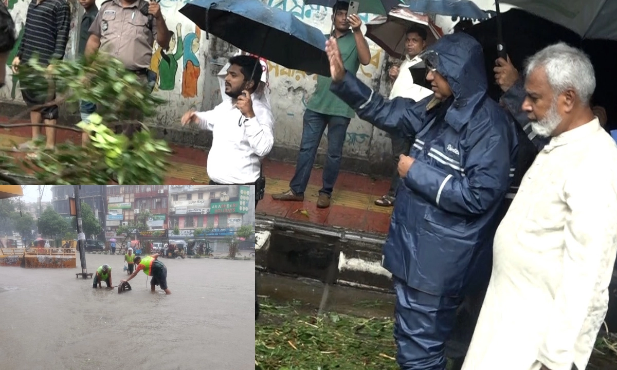 ছবি : সংগৃহীত