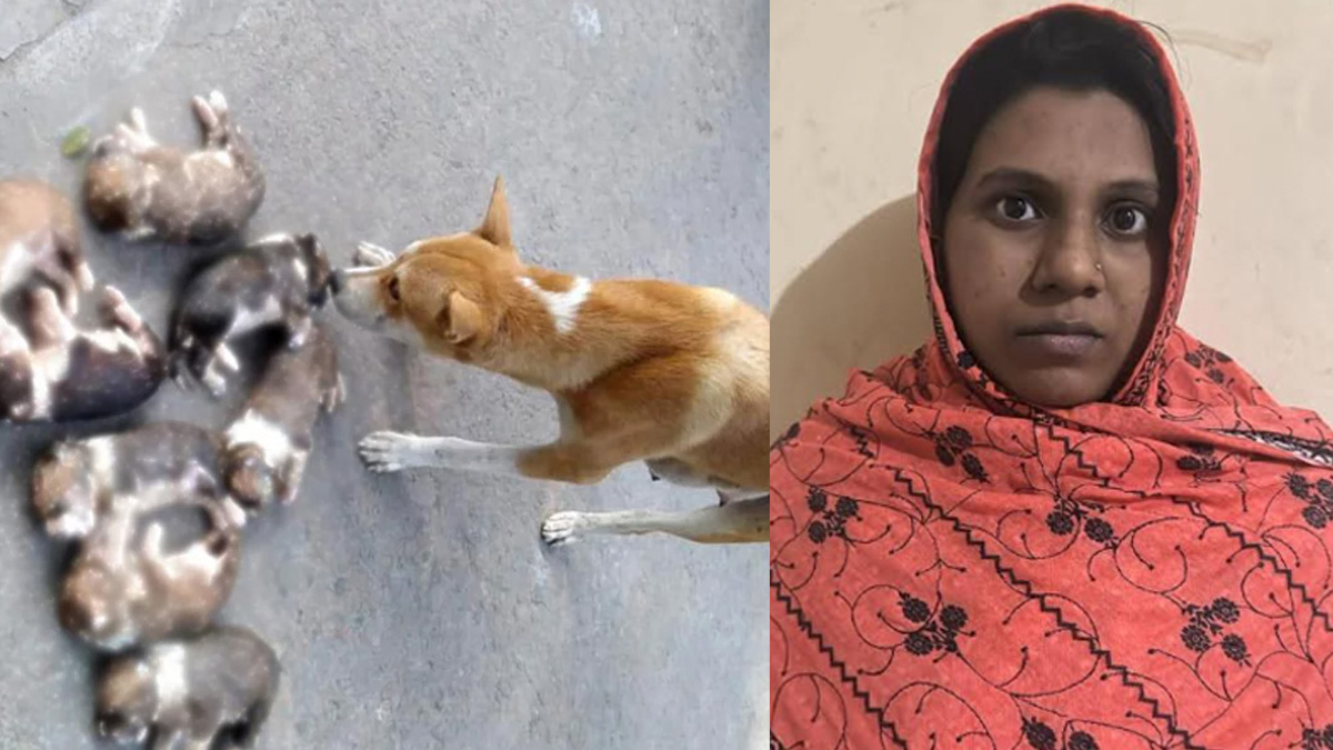 গ্রেপ্তারকৃত নিশি খাতুন ও মৃত কুকুর ছানা। ছবি- সংগৃহীত