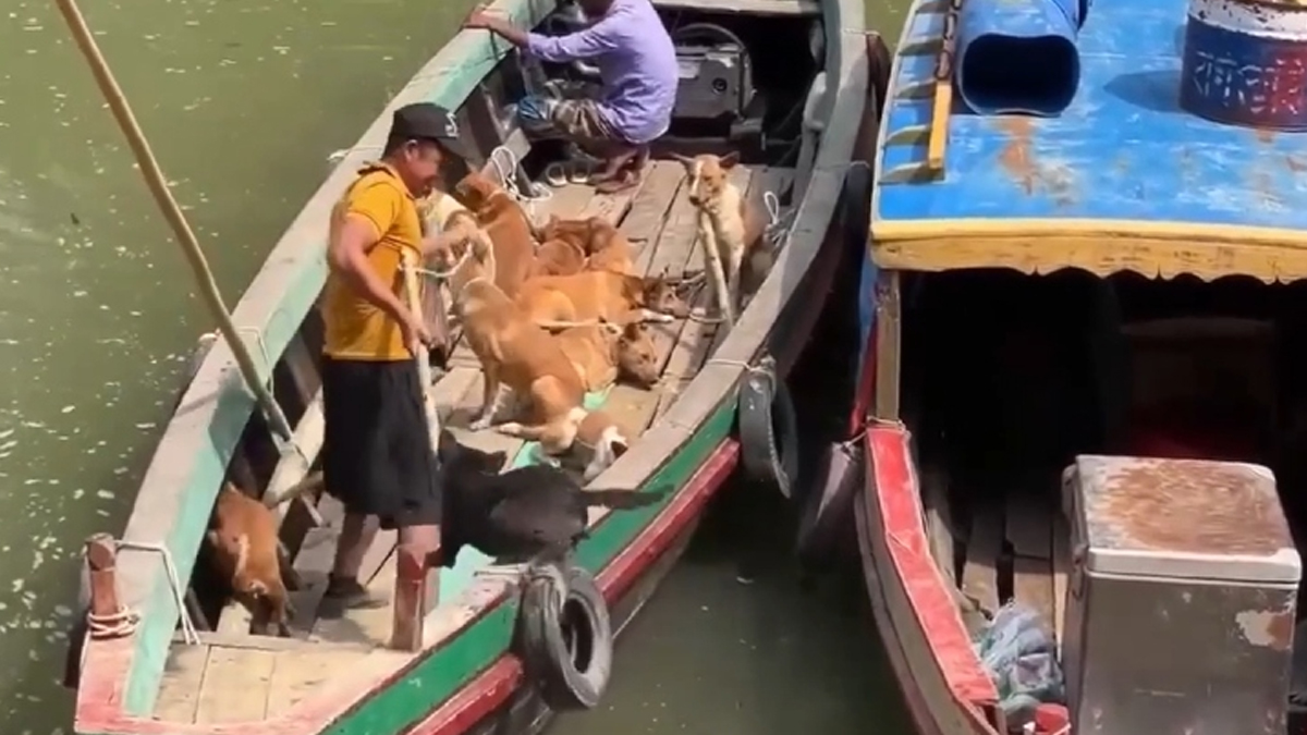 ছবি- রূপালী বাংলাদেশ