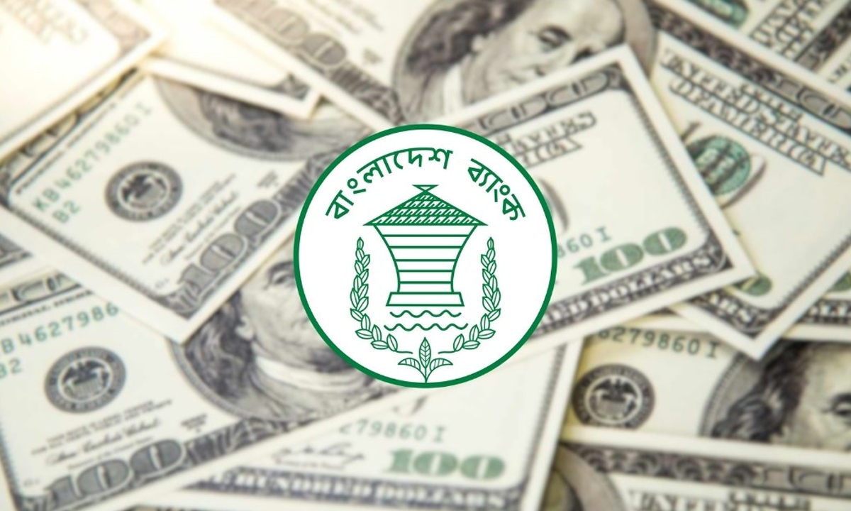 ডলা। ছবি : সংগৃহীত