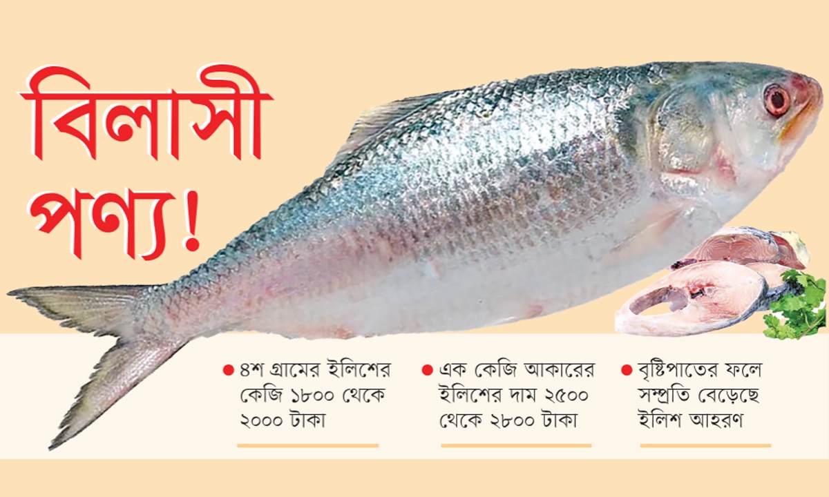 ছবি- রূপালী বাংলাদেশ গ্রাফিক্স