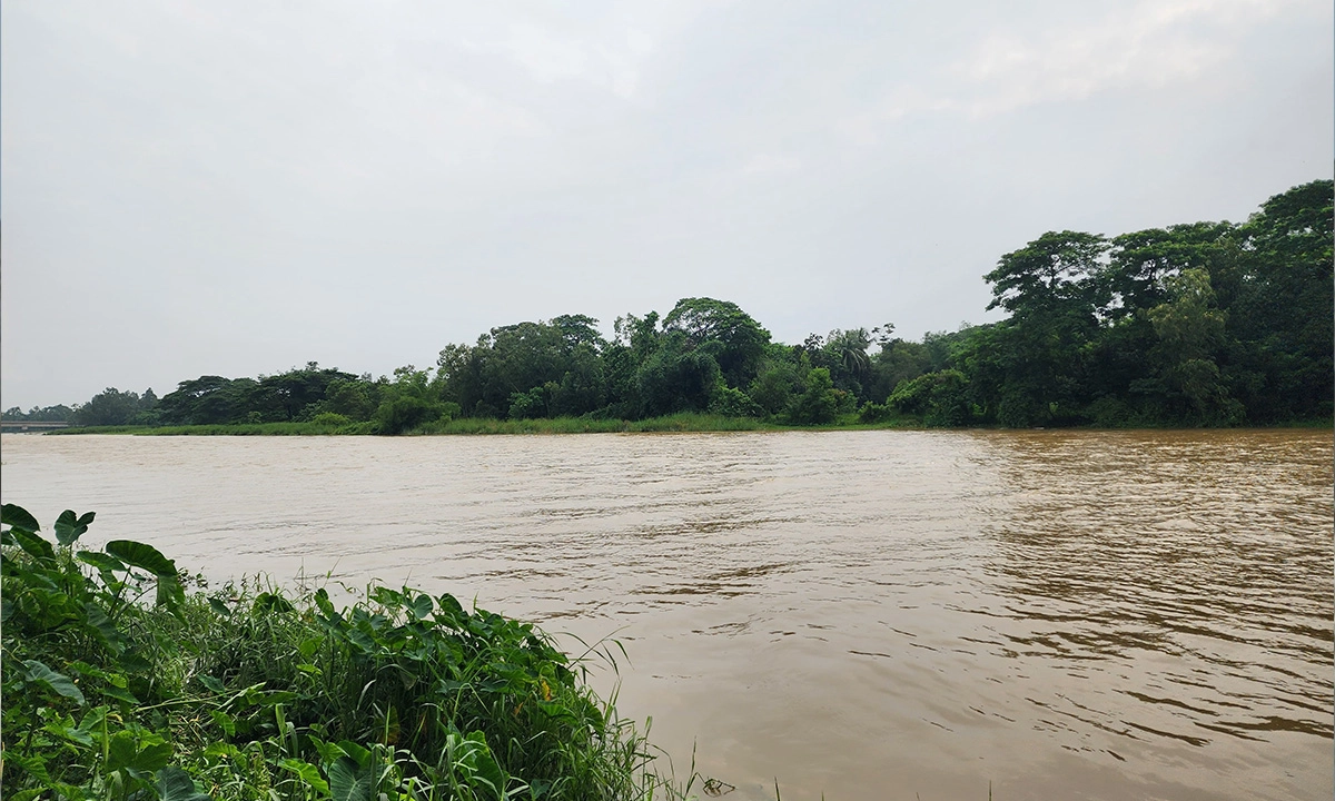 ছবি : রূপালী বাংলাদেশ
