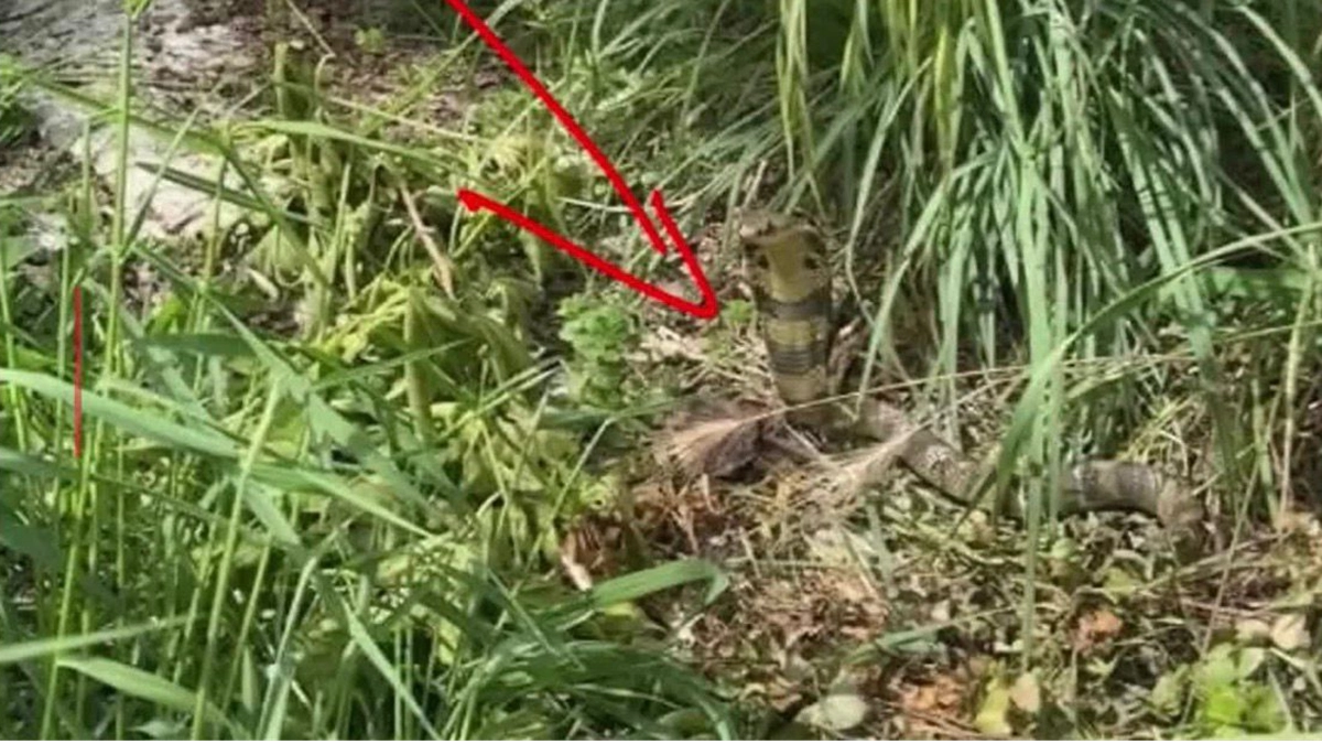 ছবি : রূপালী বাংলাদেশ