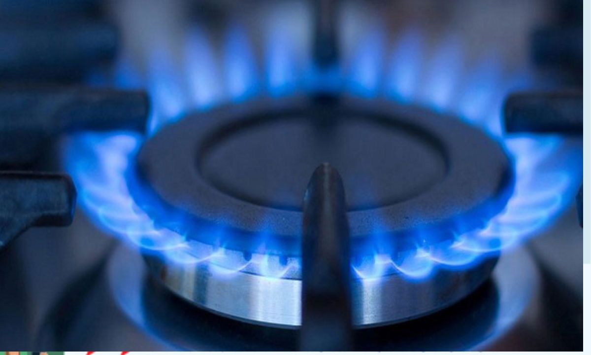 গ্যাসের চুলা। ছবি- সংগৃহীত