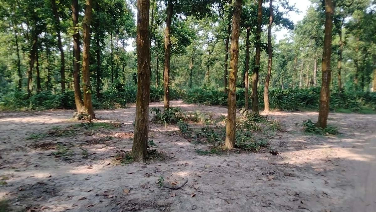 ছবি- রূপালী বাংলাদেশ