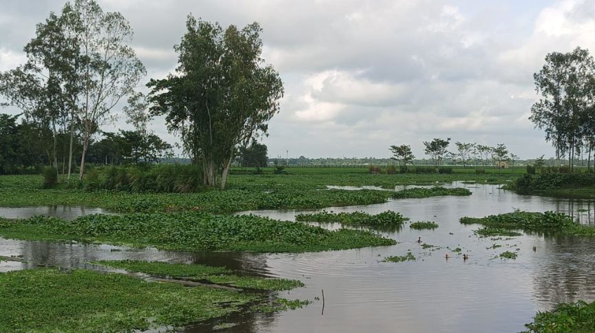 যুবককে ধরে নিয়ে যাওয়া বাড়াইপাড়া সীমান্ত। ছবি- রূপালী বাংলাদেশ