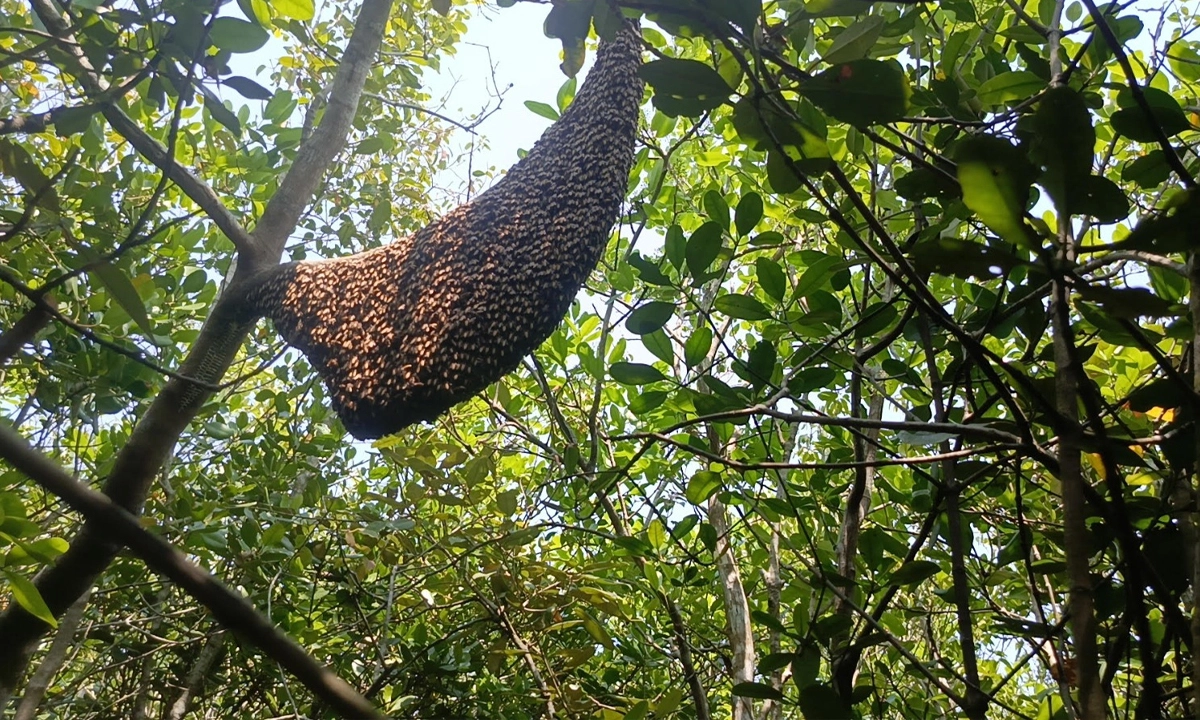 ছবি- সংগৃহীত