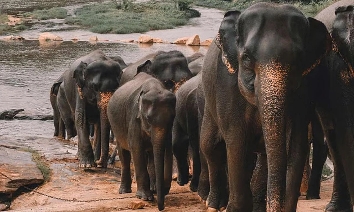 ছবি : সংগৃহীত