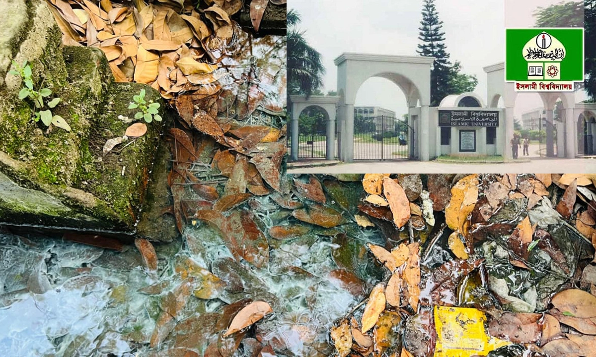 ছবি- সংগৃহীত