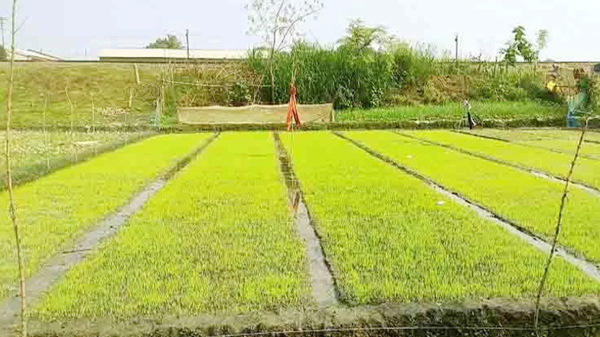ছবি- সংগৃহীত
