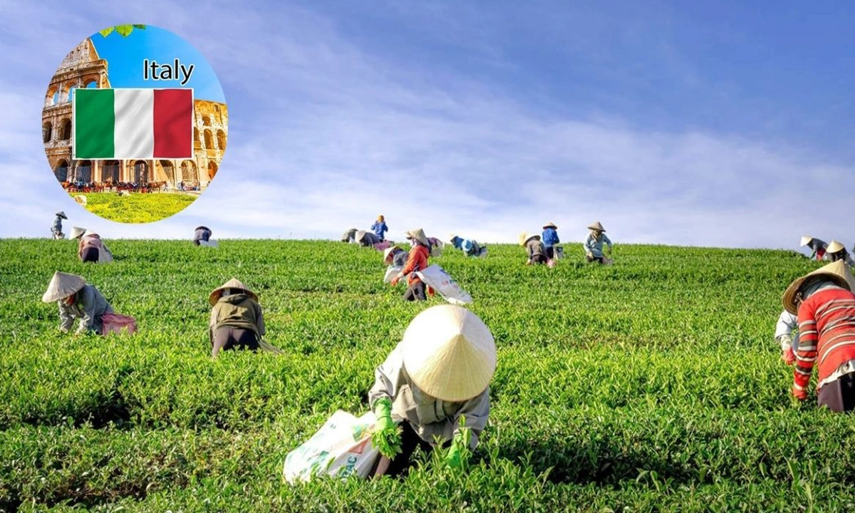 ৩ বছরে ৫ লাখ কর্মী নেবে ইতালি। ছবি- সংগৃহীত