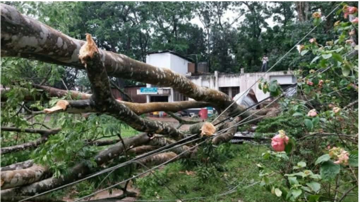 ছবি- রূপালী বাংলাদেশ