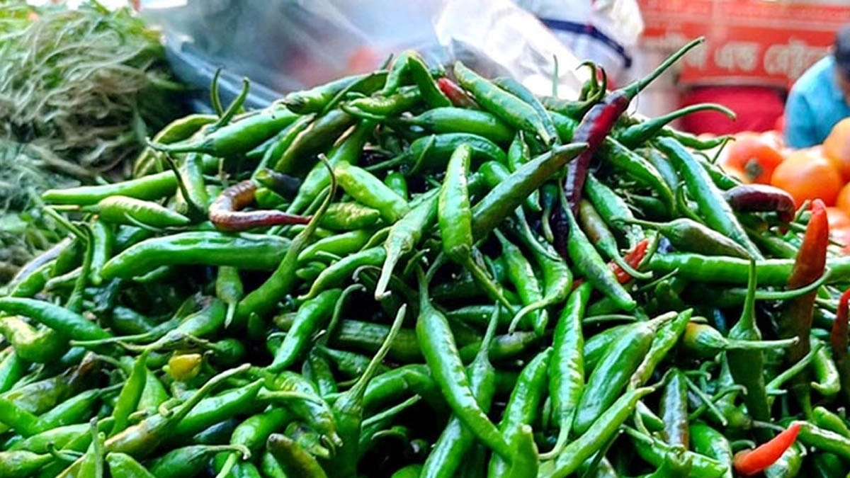 কাঁচা মরিচের দাম বৃদ্ধি।   ছবি- সংগৃহীত