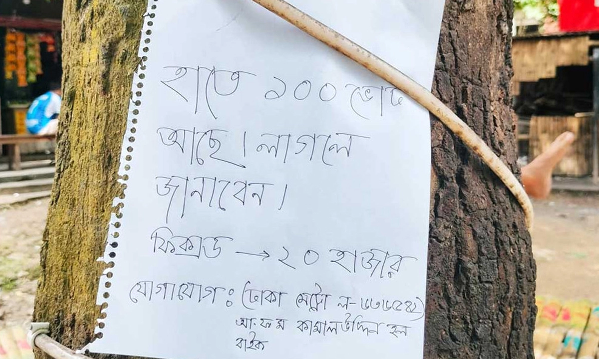 জাহাঙ্গীরনগর বিশ্ববিদ্যালয়ের বটতলা এলাকায় একটি গাছে টাঙানো বিজ্ঞাপন। ছবি- সংগৃহীত