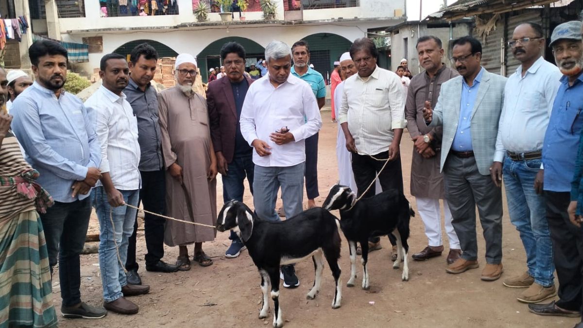 এতিমখানায় দান করা ছাগল। ছবি- রূপালী বাংলাদেশ