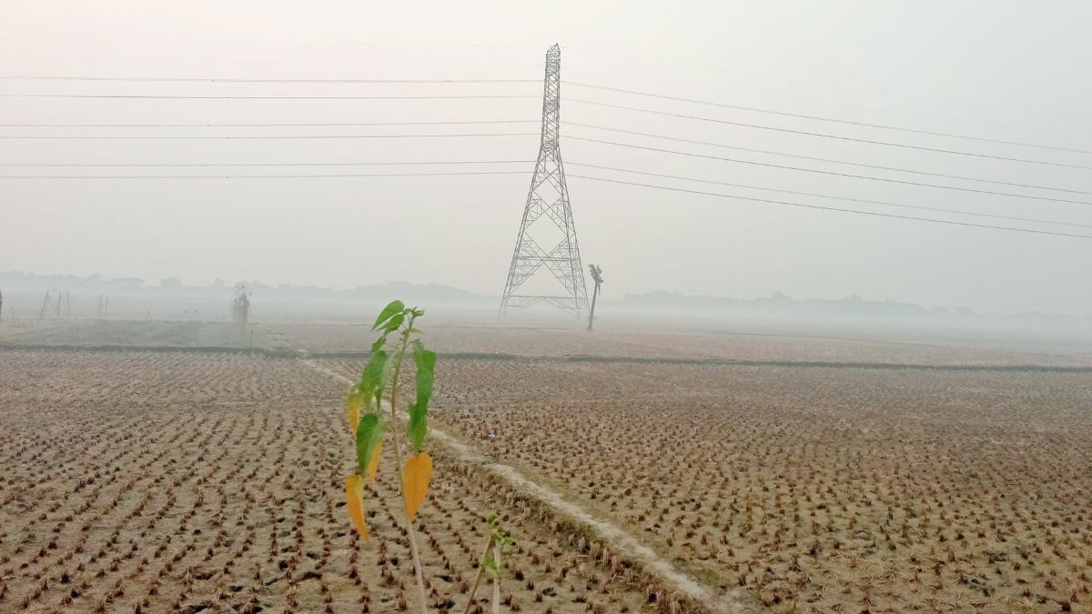যশোরে বেড়েছে শীত। ছবি- রূপালী বাংলাদেশ
